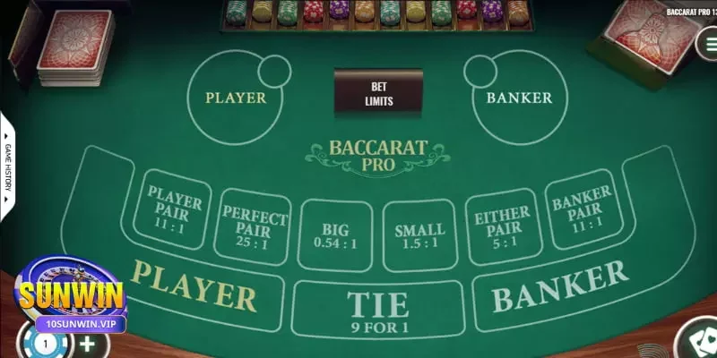 Kinh nghiệm chơi Baccarat Sunwin cho người mới Chọn bàn chơi phù hợp sẽ dựa vào yếu tố nào?