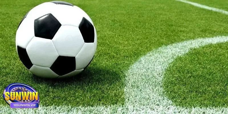 Kèo Châu Á Lời khuyên từ các chuyên gia về kèo Handicap